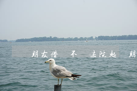 朋友借錢不還法院起訴(朋友借錢不還法院起訴)