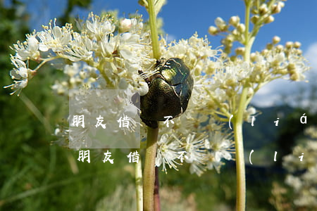 朋友借錢不還聯(lián)系不上怎么辦(朋友借錢不還聯(lián)系不上怎么辦知道身份證)