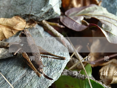 朋友借錢不還起訴地點-朋友借錢不還去法院起訴需要準備什么材料