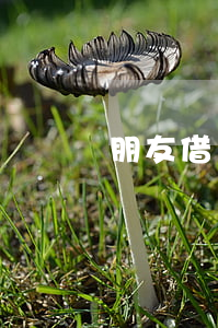 朋友借錢失蹤能起訴嗎(朋友借錢失蹤了)