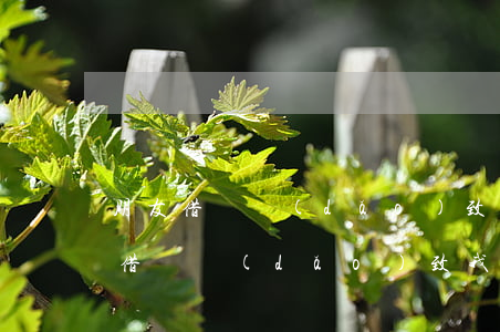 朋友借錢導(dǎo)致我信用卡逾期(朋友借錢導(dǎo)致我信用卡逾期)