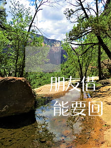 朋友借錢打官司能要回來嗎（朋友借錢打官司能要回來嗎）