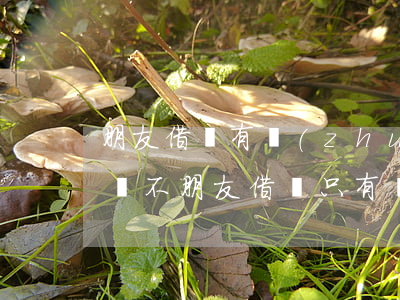 朋友借錢有轉(zhuǎn)賬記錄可以起訴不(朋友借錢只有轉(zhuǎn)賬記錄對(duì)方不承認(rèn)怎么辦)