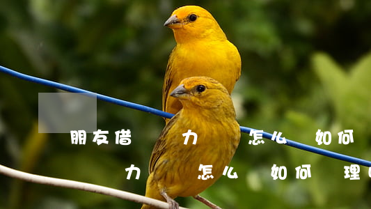 朋友借錢無力償還怎么辦如何處理-朋友借錢無力償還怎么辦如何處理呢