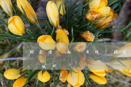 朋友借錢起訴有效嗎(朋友借了錢起訴了他 他會被影響嗎)