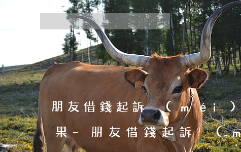 朋友借錢起訴沒(méi)到法院有什么后果-朋友借錢起訴沒(méi)到法院有什么后果嗎