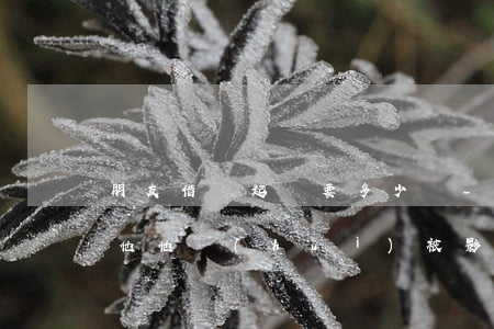 朋友借錢起訴要多少錢-朋友借了錢起訴了他 他會(huì)被影響嗎