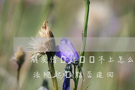 朋友借錢起訴還不上怎么辦(朋友借錢不還 去法院起訴能否追回)