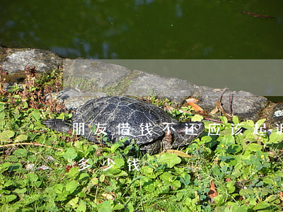 朋友借钱不还应该起诉(朋友借钱不还起诉费多少钱)