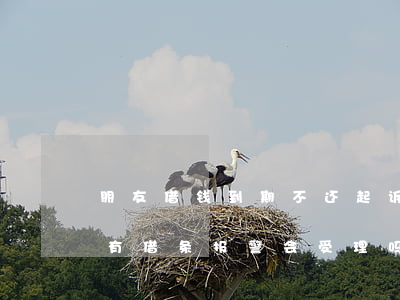 朋友借钱到期不还起诉-朋友借钱到期不还有借条报警会受理吗?