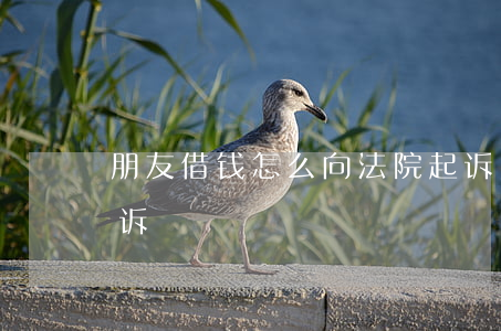 朋友借钱怎么向法院起诉（朋友借钱去哪里起诉）