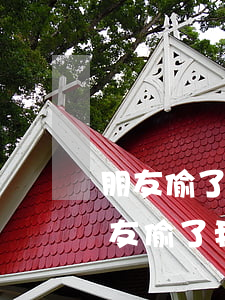 朋友偷了我的信用卡導(dǎo)致逾期(朋友偷了我的信用卡導(dǎo)致逾期了)