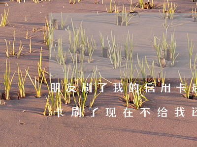 朋友刷了我的信用卡后不还(别人拿我的信用卡刷了现在不给我还)