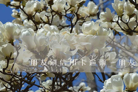 朋友刷信用卡逾期-朋友刷信用卡逾期怎么辦