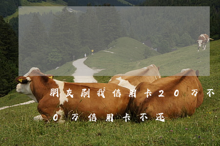 朋友刷我信用卡20万不还(男朋友刷了我30万信用卡不还)