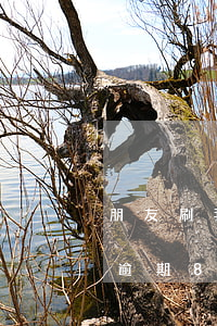 朋友刷我信用卡8萬(wàn)不還(信用卡逾期8萬(wàn)每月還里1000)