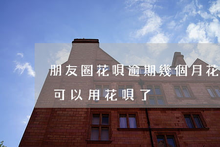 朋友圈花唄逾期幾個月(花唄逾期還完了,多久可以用花唄了)