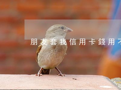 朋友套我信用卡錢用不還