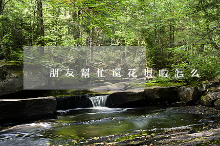 朋友幫忙還花唄啦怎么沒有還款-