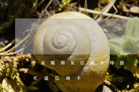 朋友幫朋友信用卡停息掛賬合法嗎-朋友幫忙還信用卡