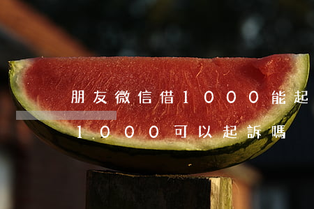 朋友微信借1000能起訴嗎(朋友微信借錢1000可以起訴嗎)