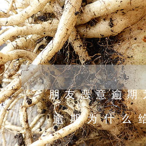 朋友恶意逾期为什么给我发短信-朋友恶意逾期为什么给我发短信呢