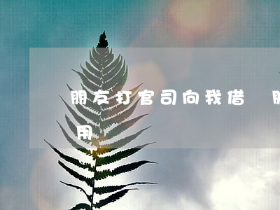 朋友打官司向我借錢(朋友借錢起訴的法院有用嗎)