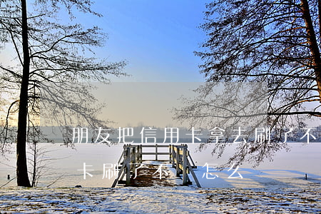 朋友把信用卡拿去刷了不還(朋友拿了我信用卡刷了不還怎么辦)