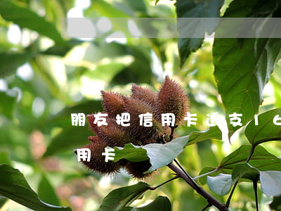 朋友把信用卡透支16萬(朋友透支了我的信用卡)