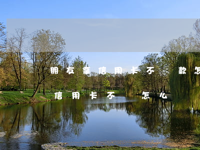 朋友拿信用卡不還款怎么辦(朋友用了自己的信用卡不還怎么辦)
