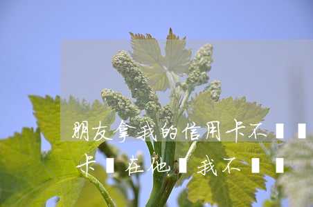 朋友拿我的信用卡不還給我(給別人帶還信用卡,現在他給我不給錢)