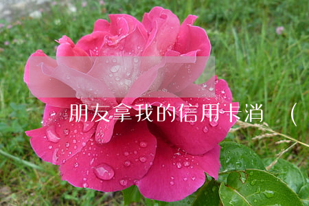 朋友拿我的信用卡消費(fèi)透支