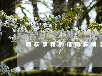 朋友拿我的信用卡消费透支