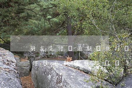 朋友支付寶逾期給我打電話怎么辦-朋友支付寶逾期給我打電話怎么辦呢