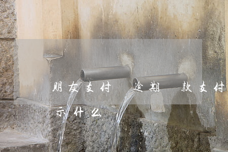 朋友支付寶逾期還款(支付寶逾期還完之后顯示什么)