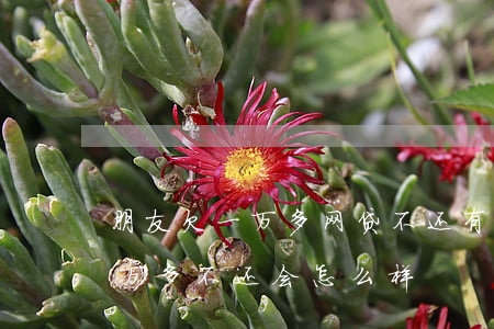 朋友欠一万多网贷不还有什么后果(网贷欠一万多不还会怎么样)