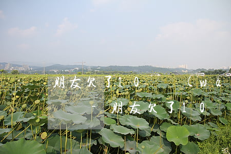朋友欠了10個網(wǎng)貸不還會起訴嗎-朋友欠了10個網(wǎng)貸不還會起訴嗎怎么辦