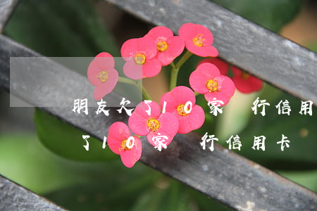 朋友欠了10家銀行信用卡沒有還-朋友欠了10家銀行信用卡沒有還怎么辦