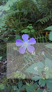 朋友欠了信用卡兩萬(wàn)多(別人借了我的信用卡2萬(wàn)用了沒(méi)有還給我,報(bào)警有用嗎?)