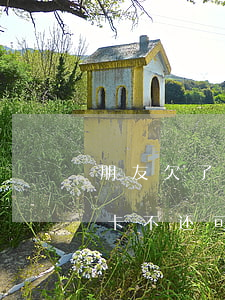 朋友欠了信用卡自己还(朋友借了自己的信用卡不还可以起述)