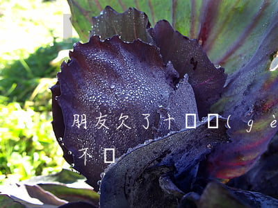 朋友欠了十幾個(gè)網(wǎng)貸不還