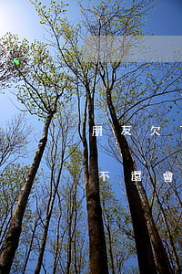 朋友欠了十幾個(gè)網(wǎng)貸不還會(huì)怎么樣-朋友欠了十幾個(gè)網(wǎng)貸不還會(huì)怎么樣呢