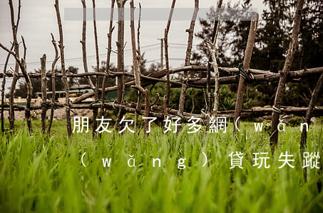 朋友欠了好多網(wǎng)貸失蹤了(欠網(wǎng)貸玩失蹤會(huì)找到嗎)