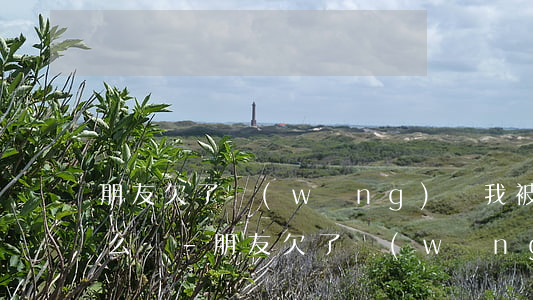 朋友欠了網(wǎng)貸我被電話騷擾怎么辦-朋友欠了網(wǎng)貸我被電話騷擾怎么辦呢