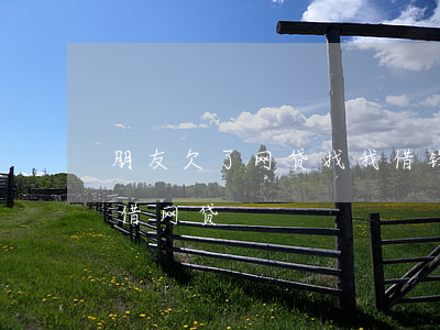 朋友欠了网贷找我借钱(朋友借钱我没钱让我借网贷)