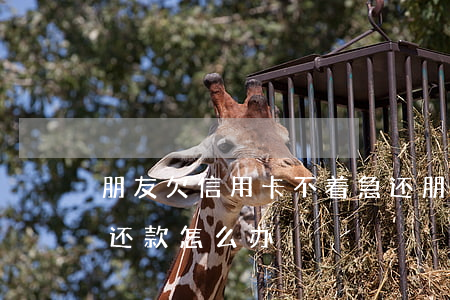 朋友欠信用卡不着急还(朋友欠信用卡不着急还款怎么办)