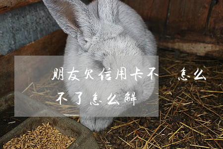 朋友欠信用卡不還怎么處理(親戚欠信用卡還不了怎么解決)