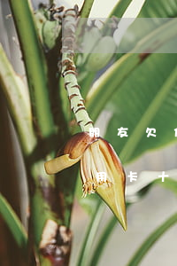 朋友欠信用卡十幾萬只還了8萬-朋友欠信用卡十幾萬只還了8萬怎么辦