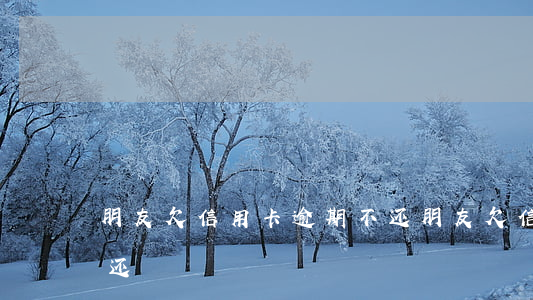 朋友欠信用卡逾期不还(朋友欠信用卡逾期不还)