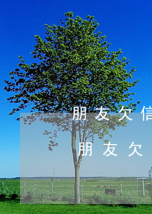 朋友欠信用卡錢一兩年未還有什么法律后果（朋友欠信用卡錢）